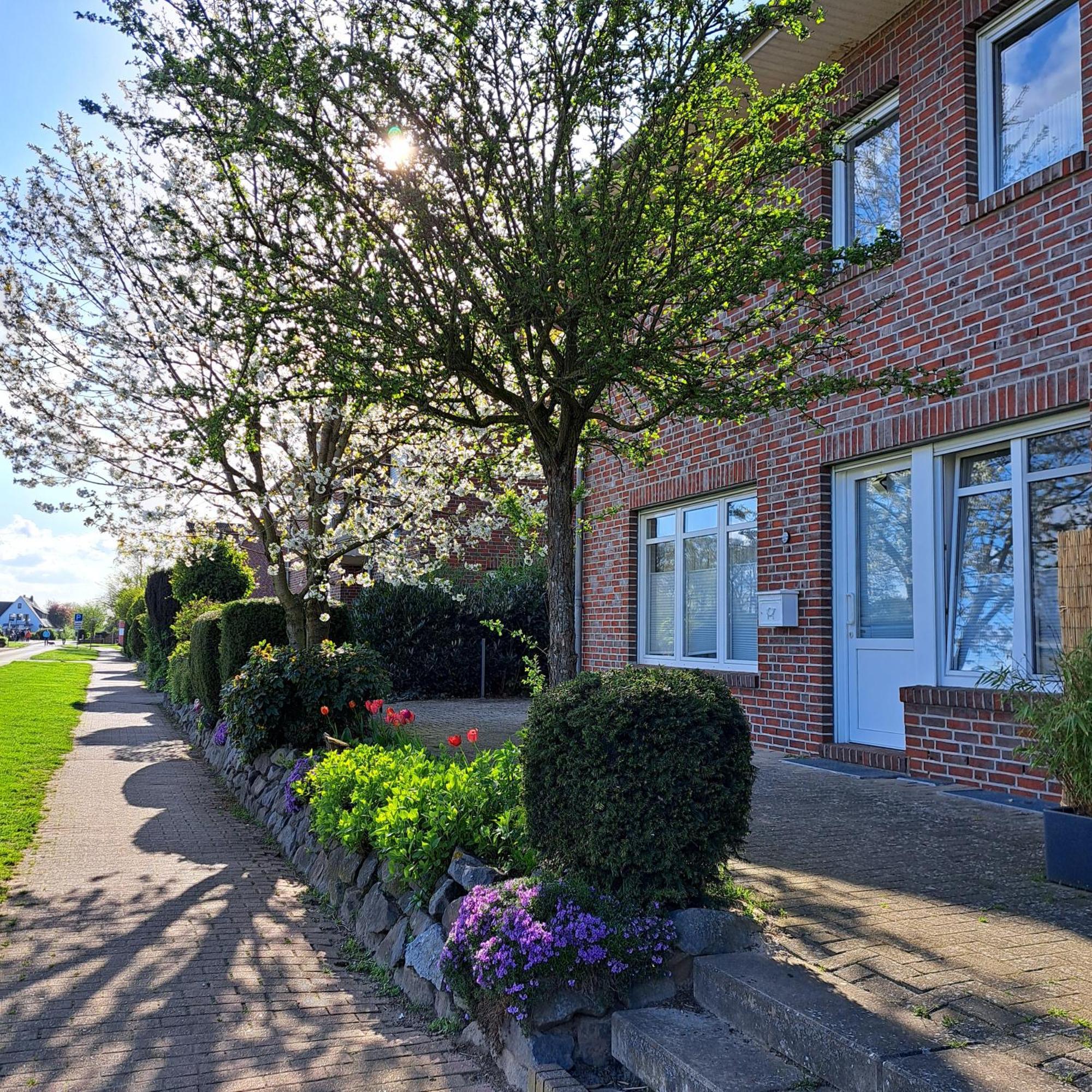 Seeliebe, 300 Meter Zum Wasser, Mit Terrasse Und Garten Lembruch Exteriör bild
