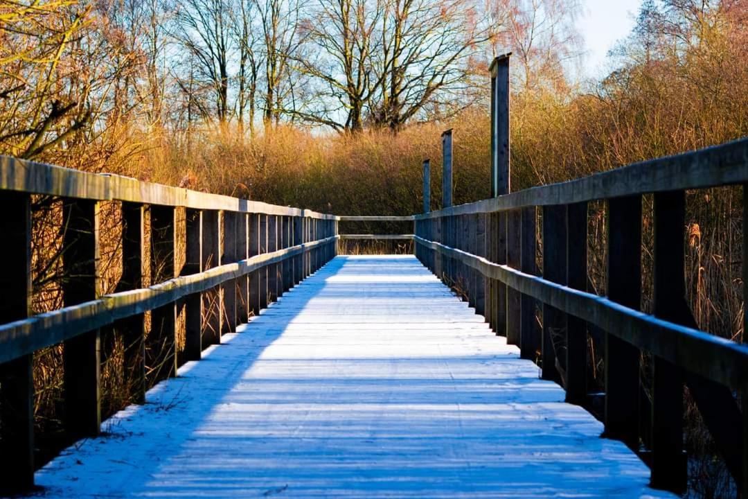 Seeliebe, 300 Meter Zum Wasser, Mit Terrasse Und Garten Lembruch Exteriör bild