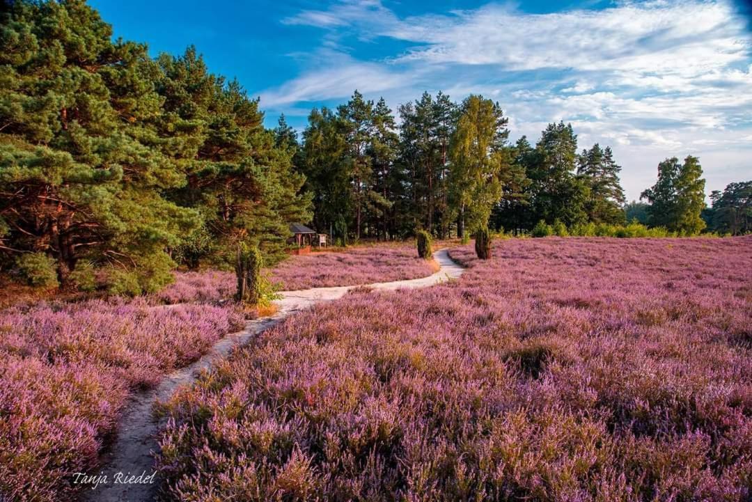Seeliebe, 300 Meter Zum Wasser, Mit Terrasse Und Garten Lembruch Exteriör bild