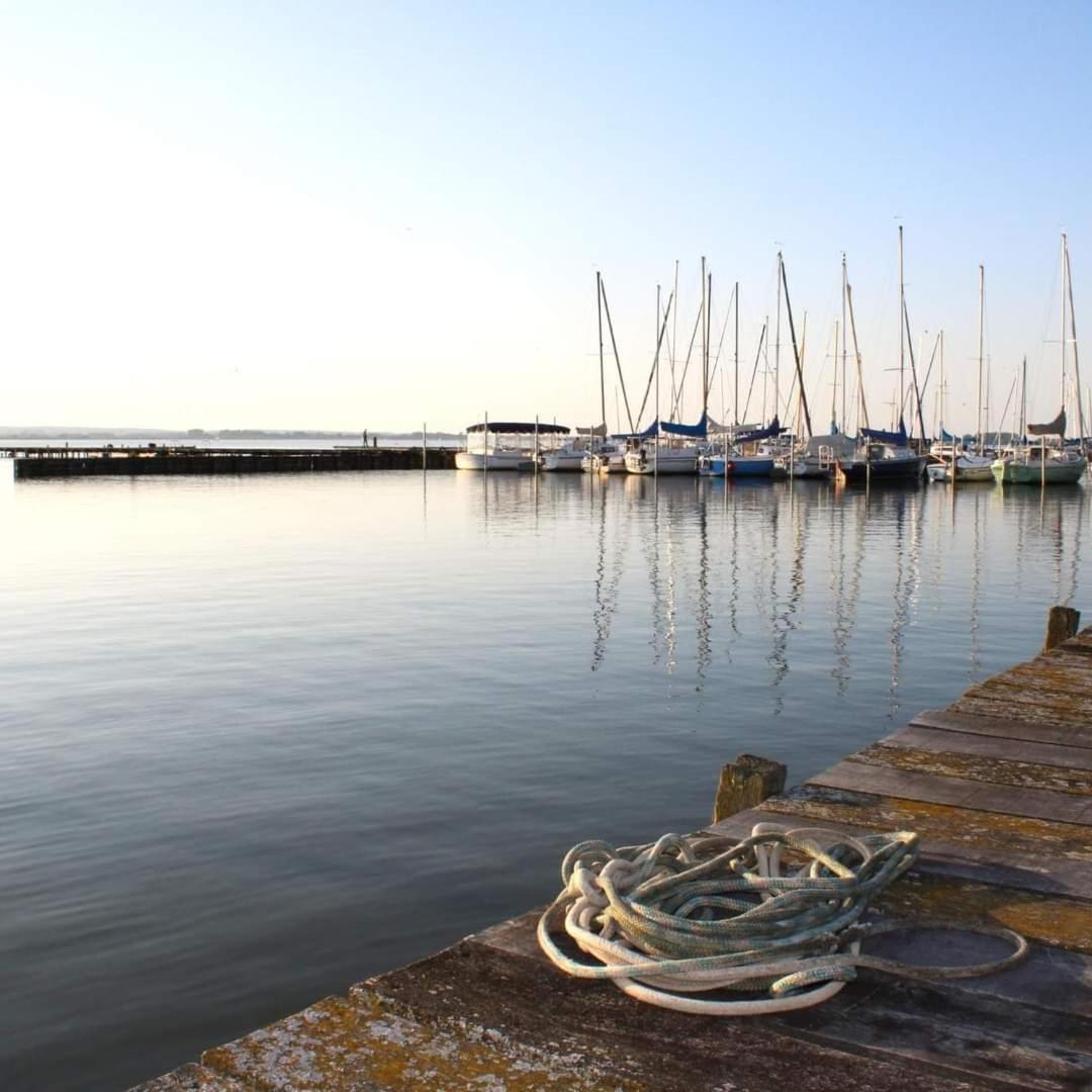 Seeliebe, 300 Meter Zum Wasser, Mit Terrasse Und Garten Lembruch Exteriör bild