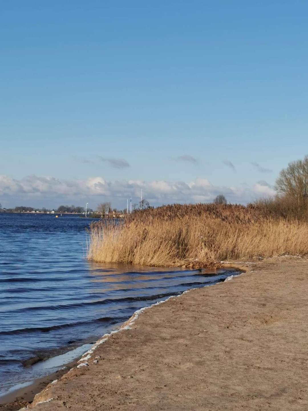 Seeliebe, 300 Meter Zum Wasser, Mit Terrasse Und Garten Lembruch Exteriör bild